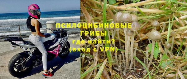 Альфа ПВП Алзамай