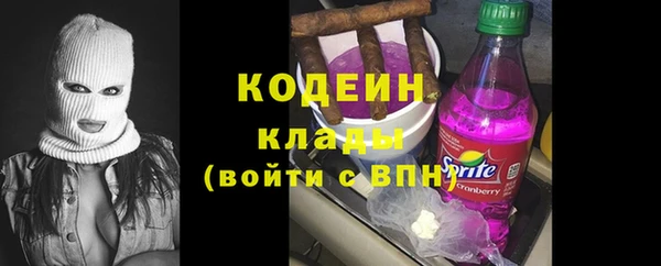 шишки Абаза