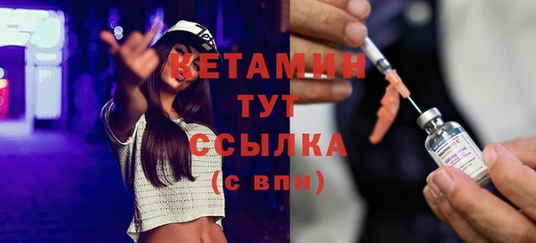 шишки Абаза