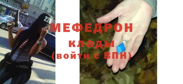 шишки Абаза