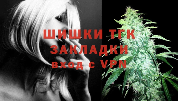 стаф Абдулино