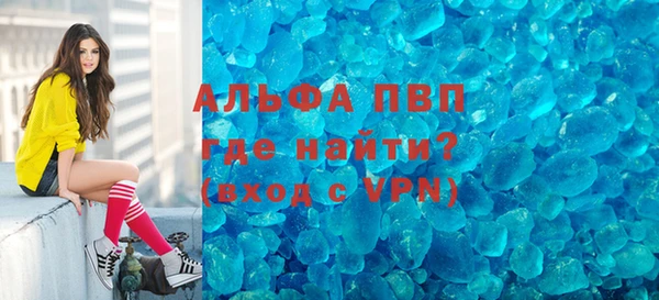 шишки Абаза