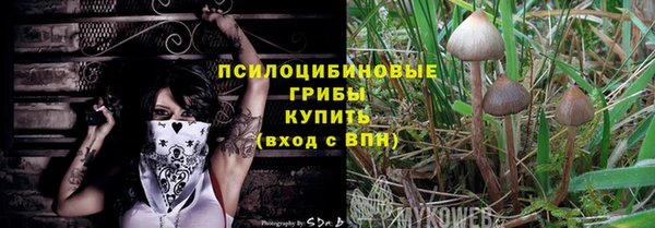 Альфа ПВП Алзамай