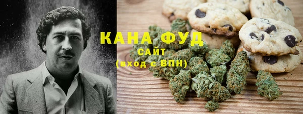 шишки Абаза